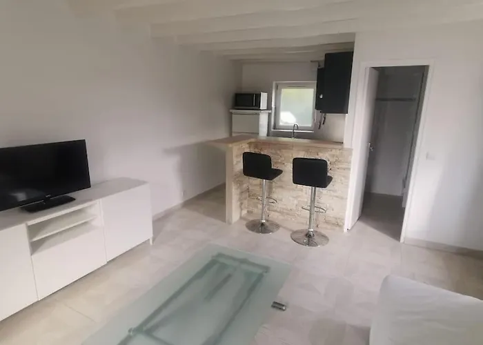 Appartement Moderne - Aeroport Cdg Asterix Paris